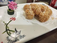 -椿不老