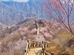 -大岭沟猕猴桃谷风景区