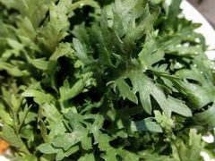-一叶一世界·素食餐厅(锦华万达店)
