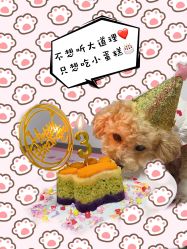 -卡门舞蹈