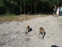 -旗山国家森林公园