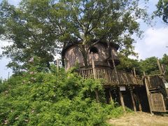 -田园东方蜜桃村的田野营地