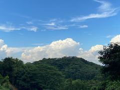 -阳台山森林公园