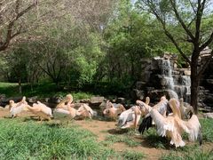 -北京野生动物园