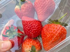 -巷子泥炉烤肉(原开化寺街店)