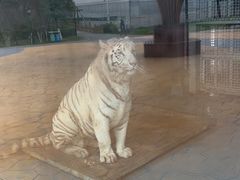 -无锡动物园·太湖欢乐园