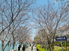 -苏州独墅湖世尊酒店