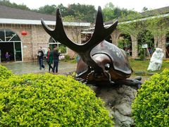 -田野绿世界