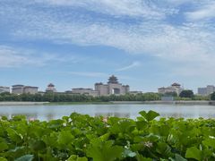 -莲花池公园