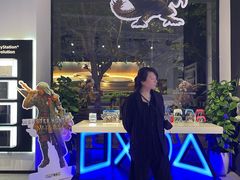 -Sony Store 索尼(上海淮海中路店)