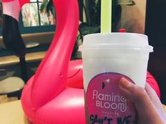 -Flamingo Bloom(TST /尖沙咀店)