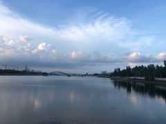 -五缘湾湿地公园