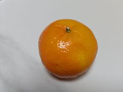 -上海大学(宝山校区)