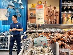 -宜家家居(哈尔滨商场店)