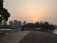 -新江湾城公园