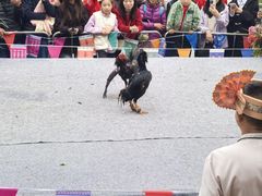 -西双版纳傣族园