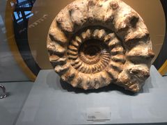 -湖南省地质博物馆