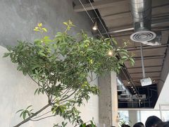 -喜茶(珠海华发商都店)