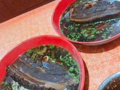 -小龙大肉面馆