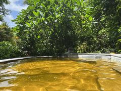 -台山颐和温泉城