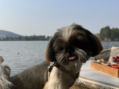 -抱雲轩·湖景庭院茶空间(东湖阳光店)