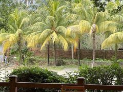 -兴隆槟榔园休闲农庄