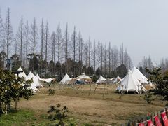 -前小桔亲子创意农场·草莓采摘·露营烧烤