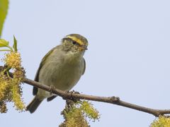 -梁鸿国家湿地公园