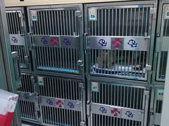 -全心全意连锁动物医院(石景山店)