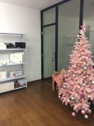 -Lab Season惜辰颜究社