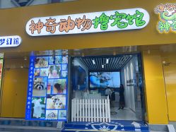 -神奇动物撸宠馆·羊驼·小浣熊·异宠(豫园店)