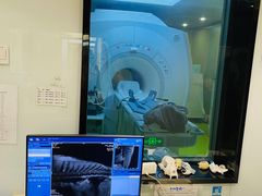 -北京派仕佳德动物医院·超导核磁·CT·神经科·骨科·内外科·急重症管理中心