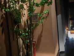 -泰·菩提树下[泰式按摩x精油SPAx肩颈头疗](新景店)