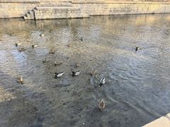 -元大都城垣遗址公园