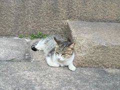 -许驸马府