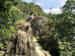 -南山植物园