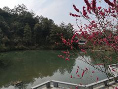 -仙店农庄(湖景农庄餐厅)