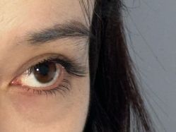 -七岛美学