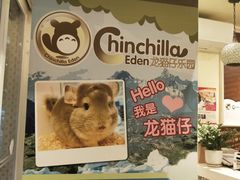 -龙猫仔乐园(惠福东路店)