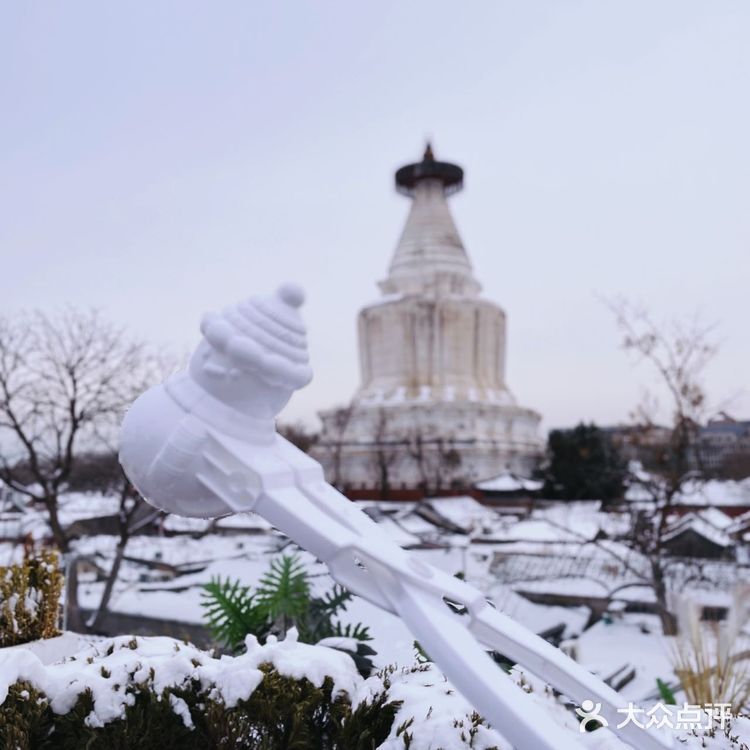 白塔寺绝佳取景位的宝藏咖啡馆太美啦