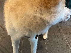 -BOCATA 西班牙餐厅(三里屯店)