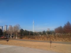 -合肥滨湖国家森林公园