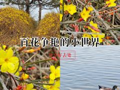 -元大都城垣遗址公园