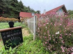 -云峰山自然风景区