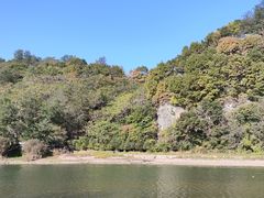 -黄椅山火山森林公园