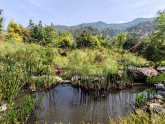 -腾冲洞山温泉村