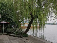 -西湖外事游船(花港观鱼码头)