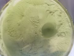 -野妹火锅(布吉店)