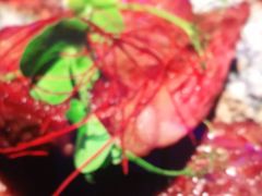 -夏日玛莉西餐厅(梅溪湖步步高店)