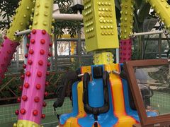 -南宫五洲植物乐园